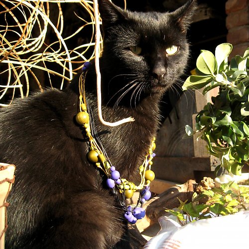 Black&Violet — foto 4