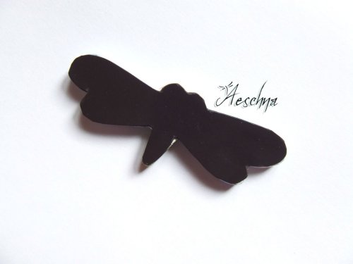 Mušle magnetky — foto 3