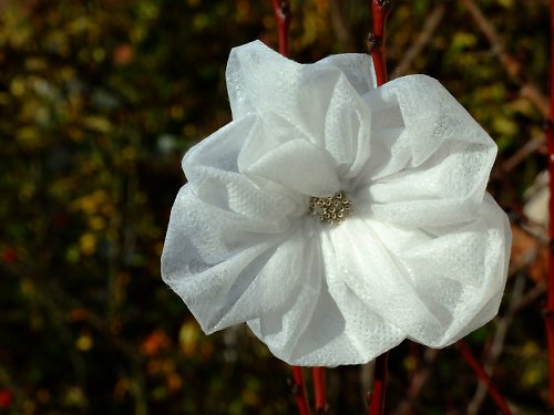Blanche — foto 3