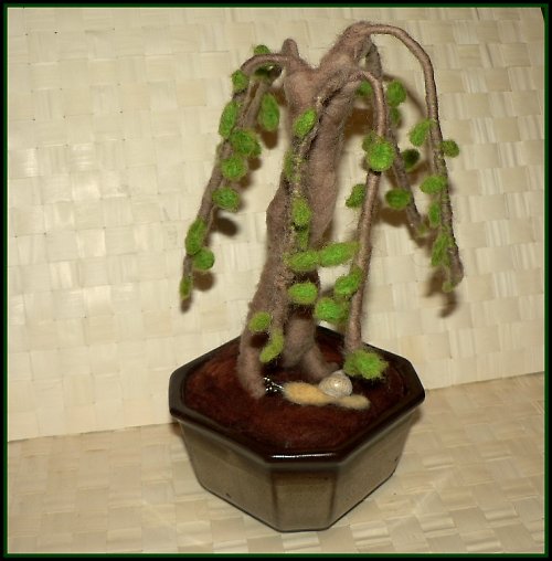 Bonsai vrba se šnečkem — foto 2
