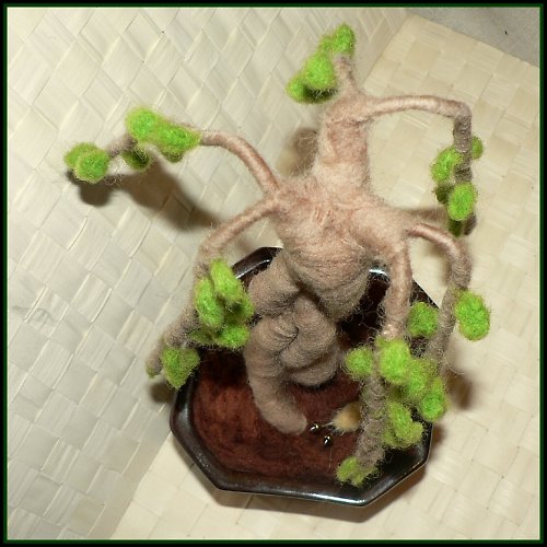 Bonsai vrba se šnečkem — foto 4