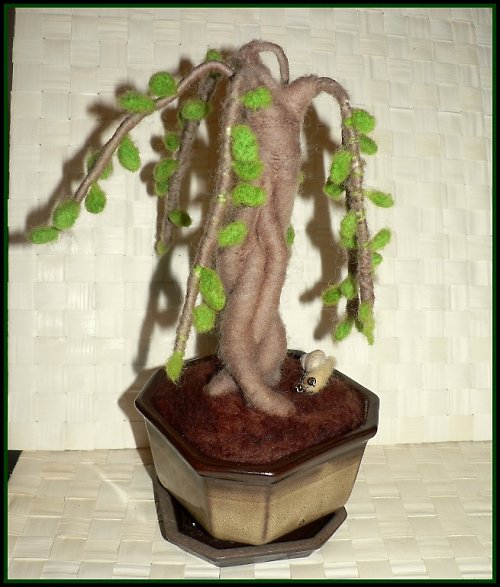 Bonsai vrba se šnečkem — foto 5