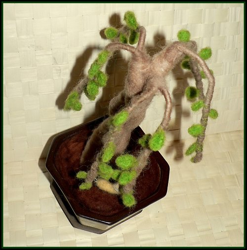 Bonsai vrba se šnečkem — foto 6