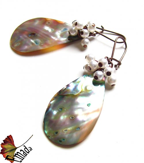 Paua — foto 3