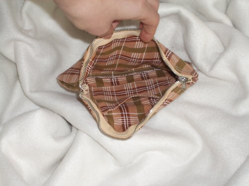 Kapsička hnědá kostkatá — foto 3