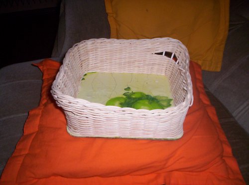Hranatý košík z pedigu — foto 2