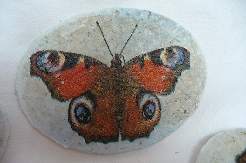 Magnetky s motýlky. — foto 2
