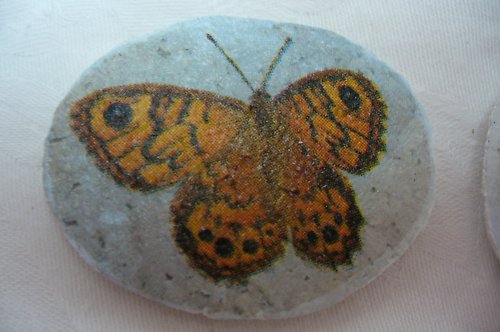 Magnetky s motýlky. — foto 3