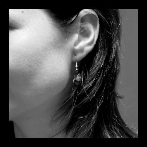 Arlequin — foto 3
