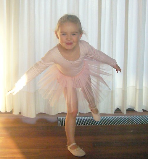 Baletní sukně3 — foto 2