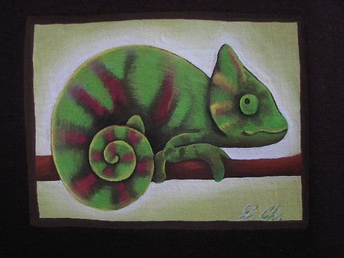 Triko chameleon — foto 2