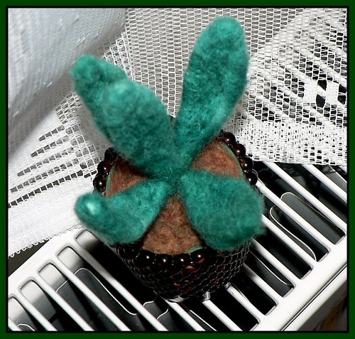 Aloe — foto 2