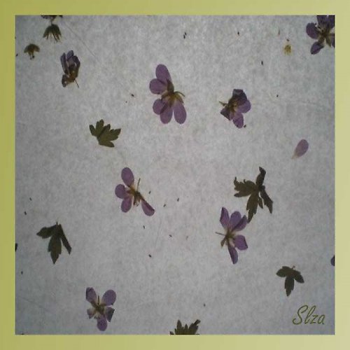 Fialky ruční papír. — foto 2