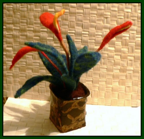 Anthurie — foto 3