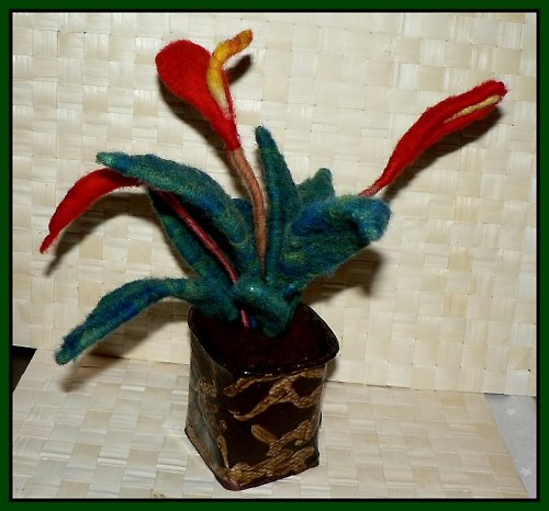 Anthurie — foto 4
