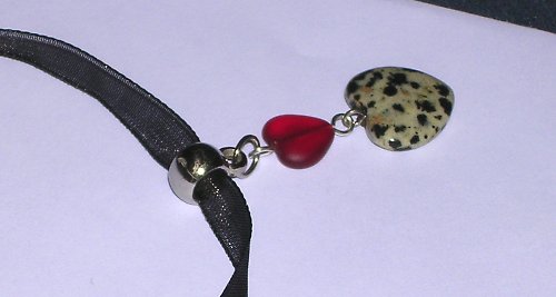 Dalmatin's love — foto 3