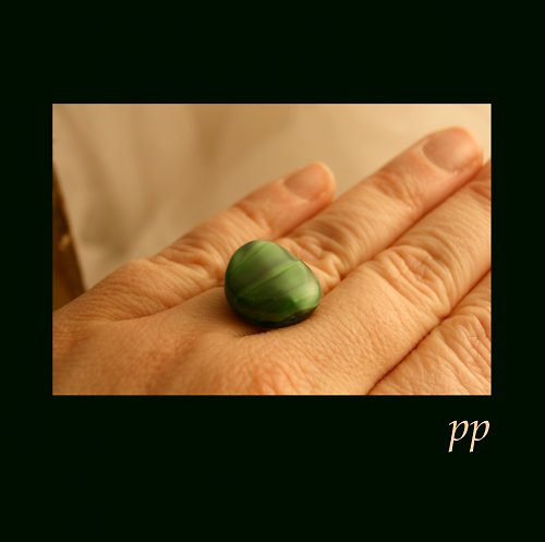 Terre — foto 2