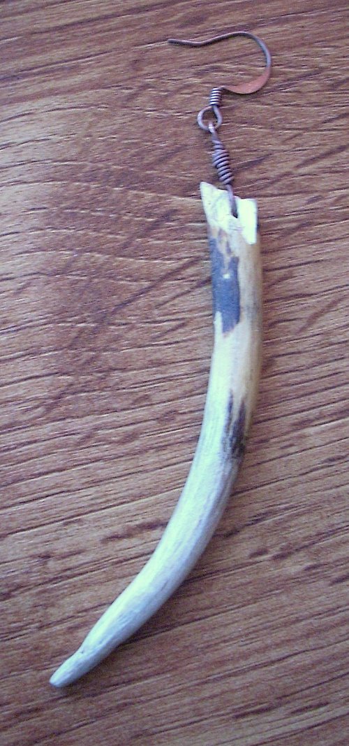 Lesní cesta — foto 2