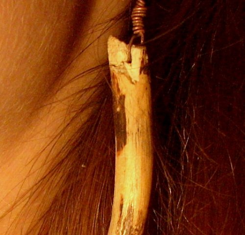 Lesní cesta — foto 3