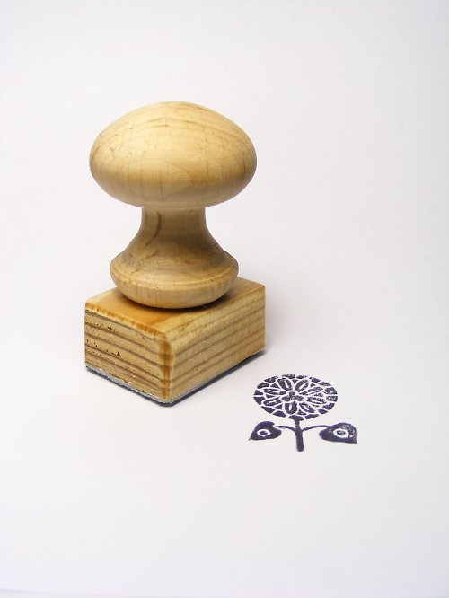 Kytka III. — foto 3