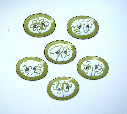 Kopretiny — foto 2