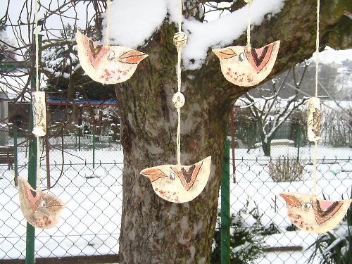 Ptačí sněm — foto 2