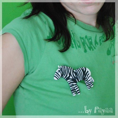 Zebra pro každou příležitost — foto 2