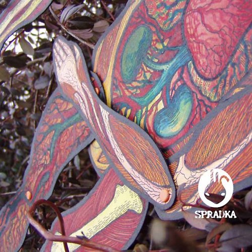 Anatomicky tvarováno - chlápek — foto 4