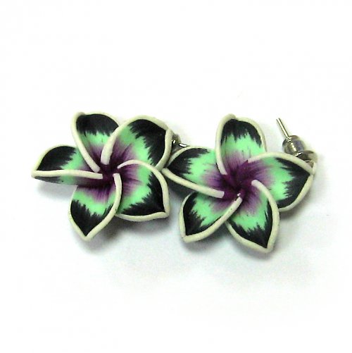 Hawai I — foto 2