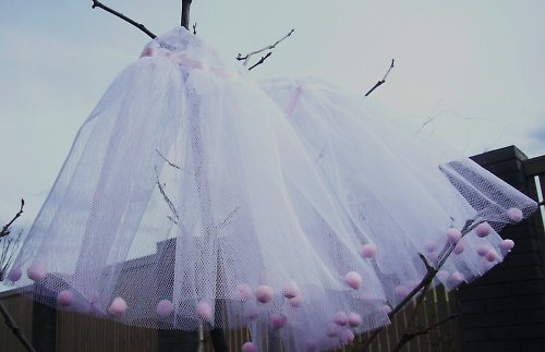 Baletní sukénka — foto 6
