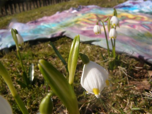 Já Slunce — foto 3