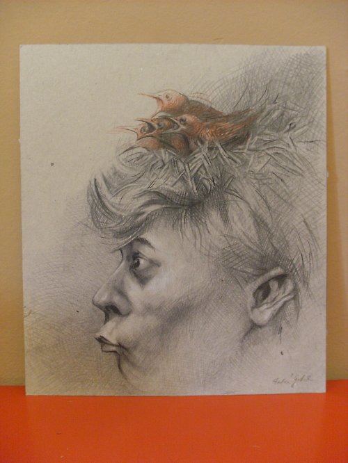 Vrabčí hnízdo — foto 2