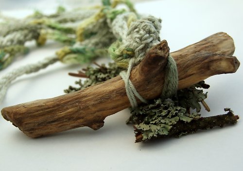 Cladonia — foto 5