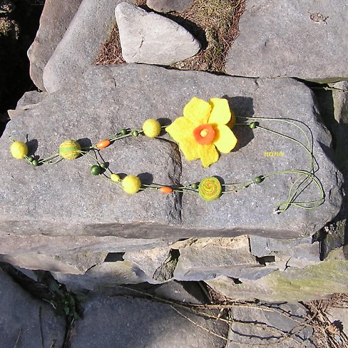 Narcis — foto 2