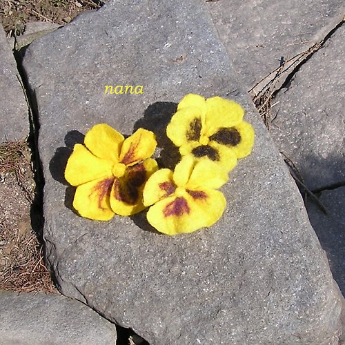Narcis — foto 3