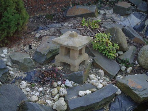 Japonská lapma malá — foto 2