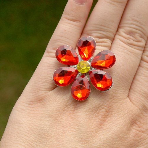 Red daisy — foto 2