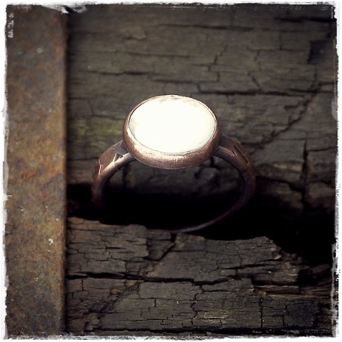 "Bílá vrána..." — foto 2