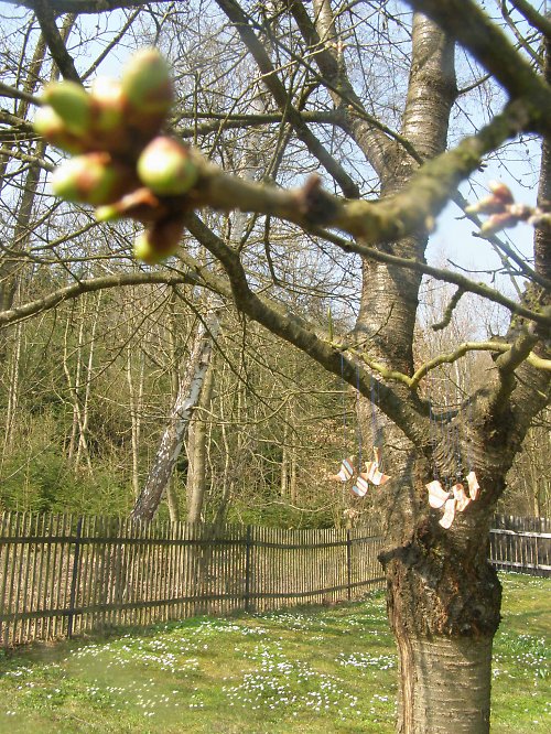 Ptačí zvonkohra II. — foto 4