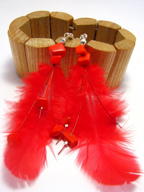 Červená peříčka — foto 2