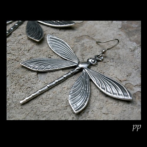 Argent Demoiseille — foto 3
