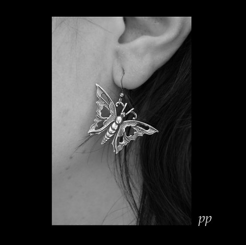 Papillon — foto 3