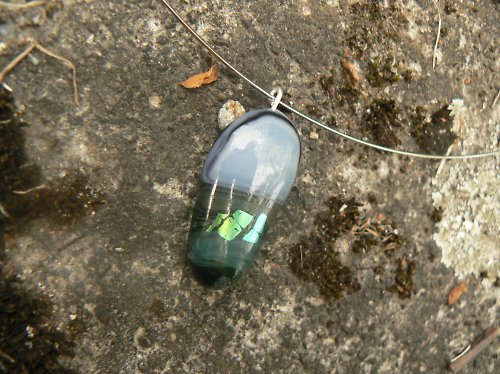 Trilobit....sleva z 99 kč — foto 2