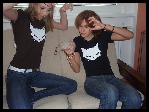 Bad cat — foto 2