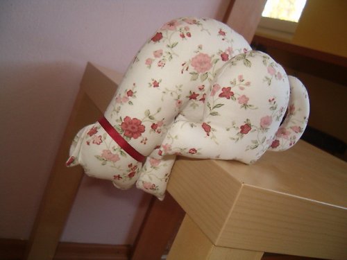 Kočičí Kamarádky — foto 5