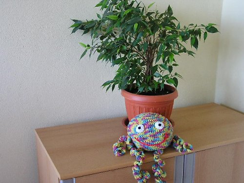 Převeselá chobotnička — foto 2