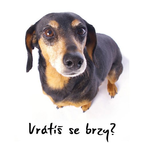 Vrátíš se brzy? — foto 2