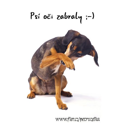 Vrátíš se brzy? — foto 3