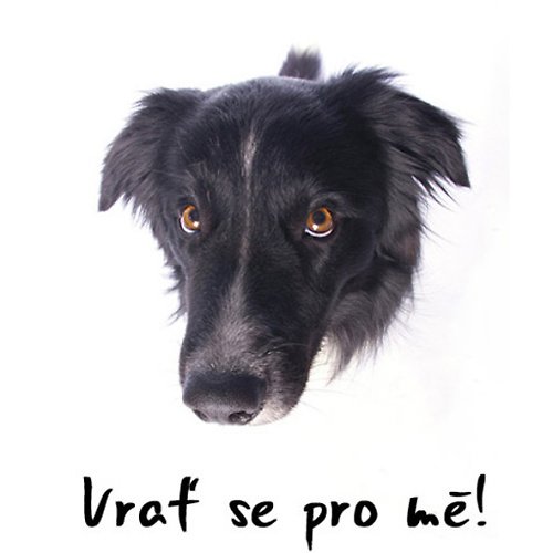 Vrať se pro mě! — foto 2