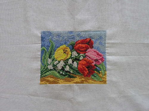 Tulipány — foto 2